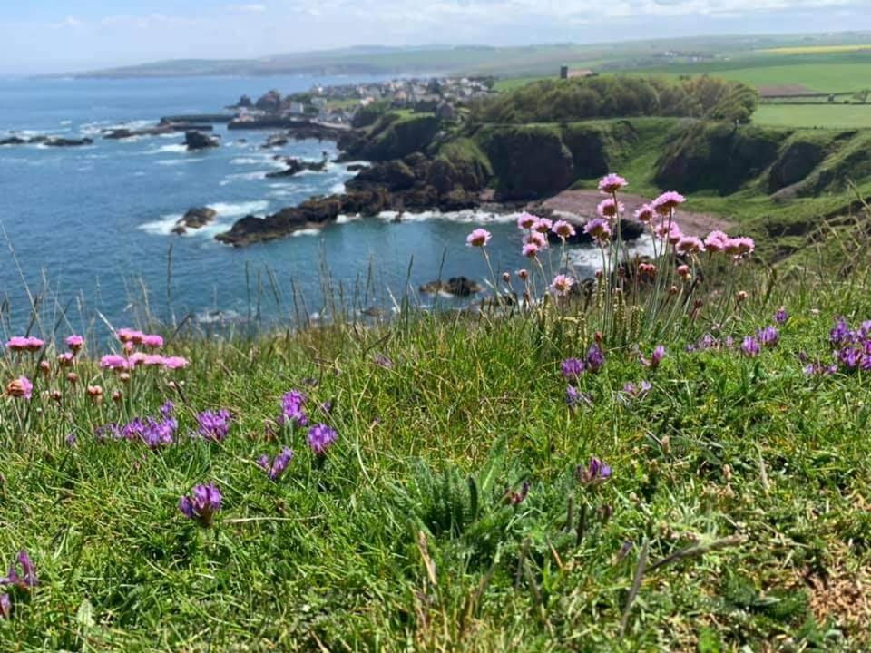 Relax In A 1 Bedroom Apartment Near A Country Pub Eyemouth Exterior photo